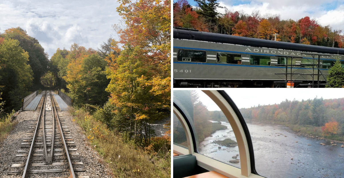 This Scenic New York Train Ride Is A Must-Experience Adventure In Every Season