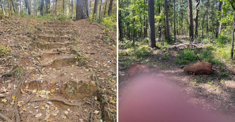 This Short Texas Hike Leads To A Hidden Waterfall And Crystal-Clear Natural Spring