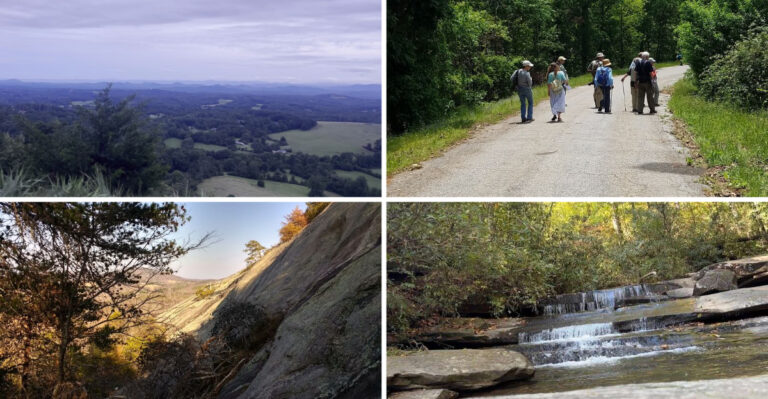 This South Carolina Nature Preserve Rewards Hikers With One Of The State’s Most Breathtaking Mountain Views