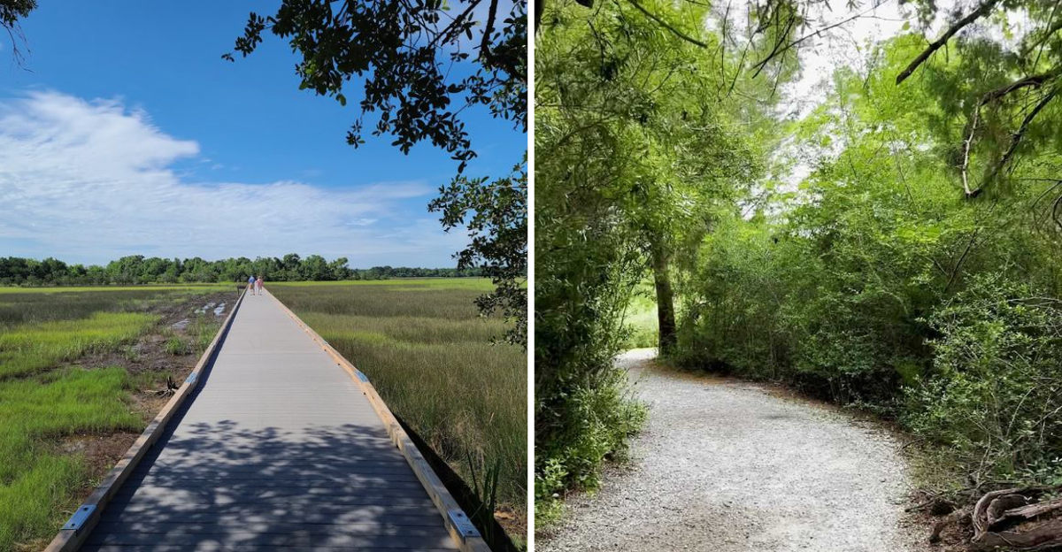 This South Carolina Park Hides A Walkable Island Most People Never Discover