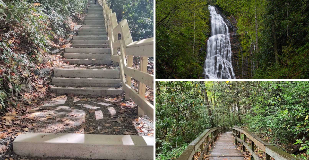 This Stairway to Nowhere in North Carolina Leads to A enchanting Woodland Adventure