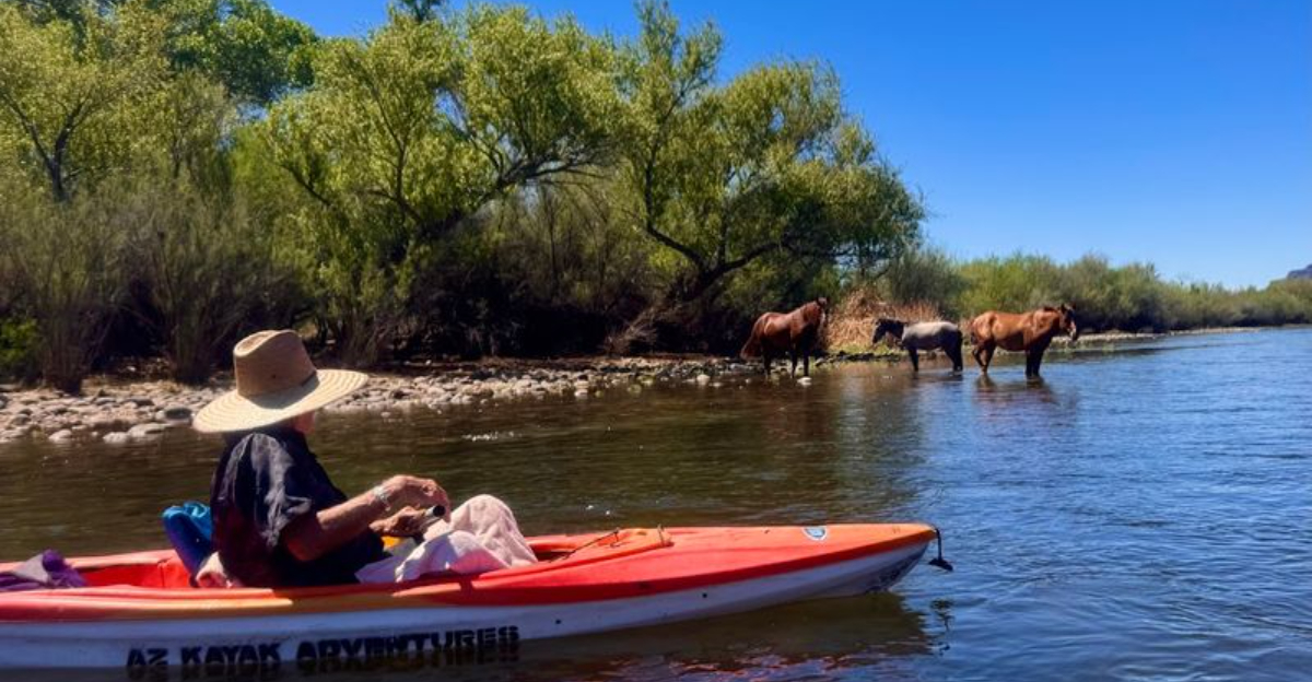 This Stunning Arizona Lake Is Home To One Of The States Most Unforgettable Kayak Adventures