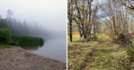 This Stunning Minnesota Recreation Area Is A Nature Lover’s Dream Destination