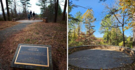 This Stunning Virginia Overlook Is One Of The State’s Best-Kept Scenic Secrets