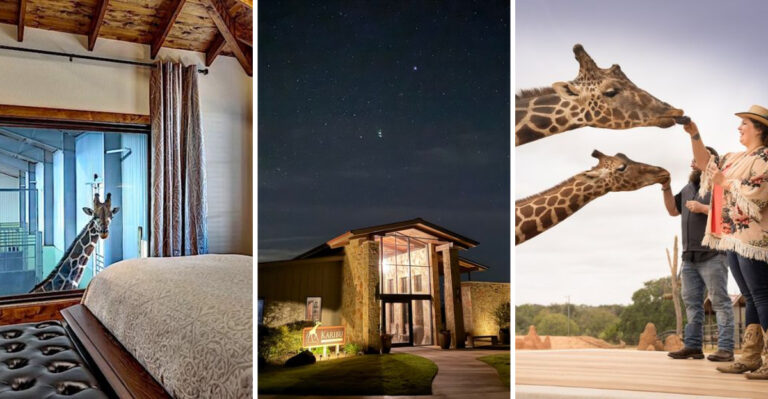This Texas Hotel Lets You Spend The Night Overlooking A Barn Full Of Giraffes