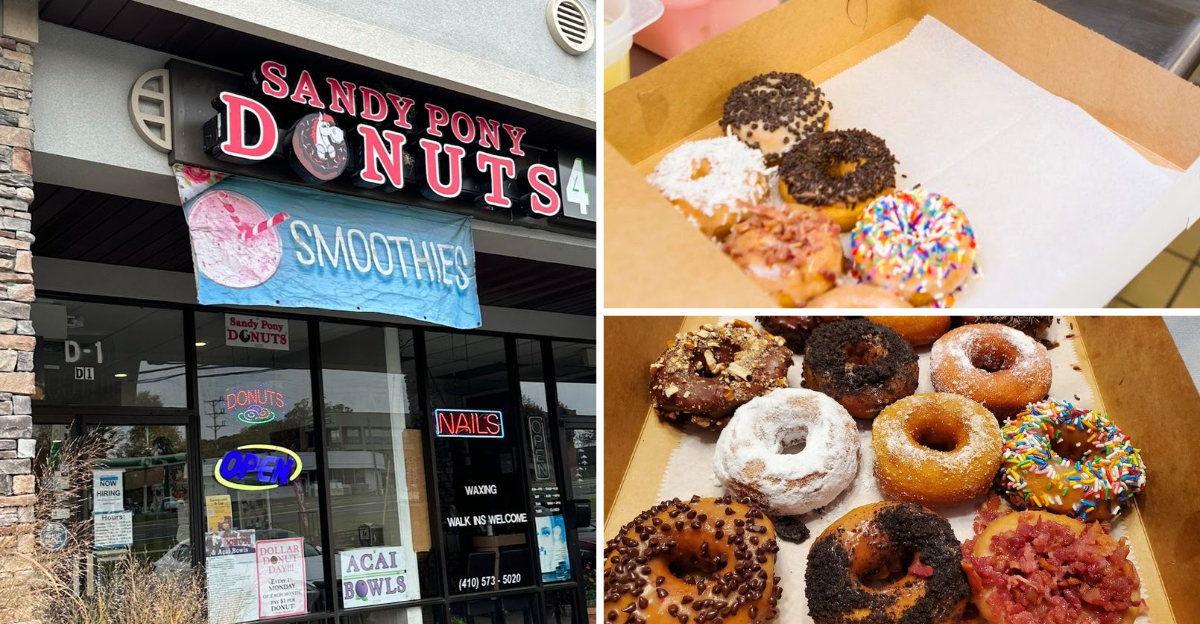 This Tiny Maryland Donut Shop Serves Sweet Treats Youll Be Craving For Days