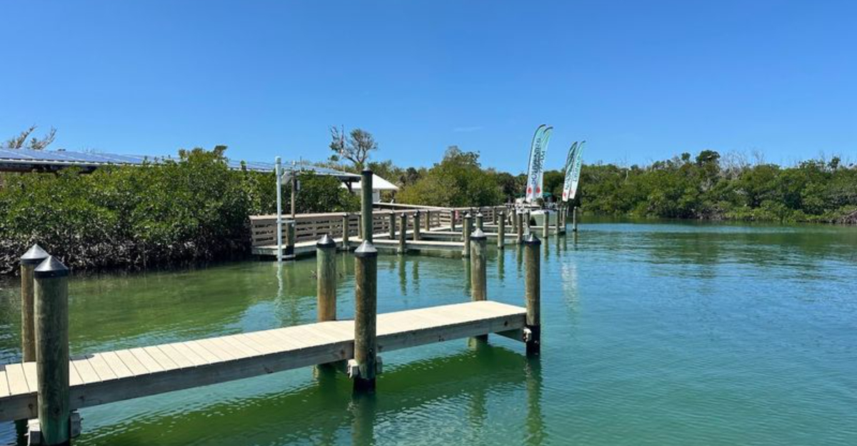 This Untouched Florida Island Is Home To Wild Dolphins, Sea Turtles, And Sandy Trails Instead Of Roads