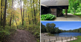 This enchanting Indiana Wildlife Refuge Feels World’s Away