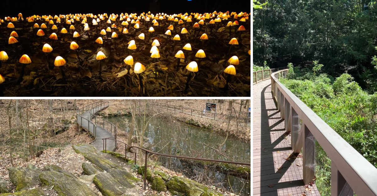 This enchanting Nature Preserve in Georgia Is Like Stepping Into A Fairytale