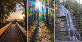 This enchanting State Park in Georgia Feels Like It Was Pulled Straight From A Disney Movie