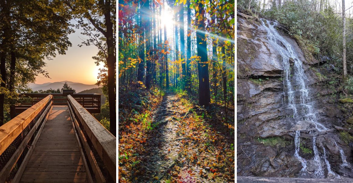 This enchanting State Park in Georgia Feels Like It Was Pulled Straight From A Disney Movie