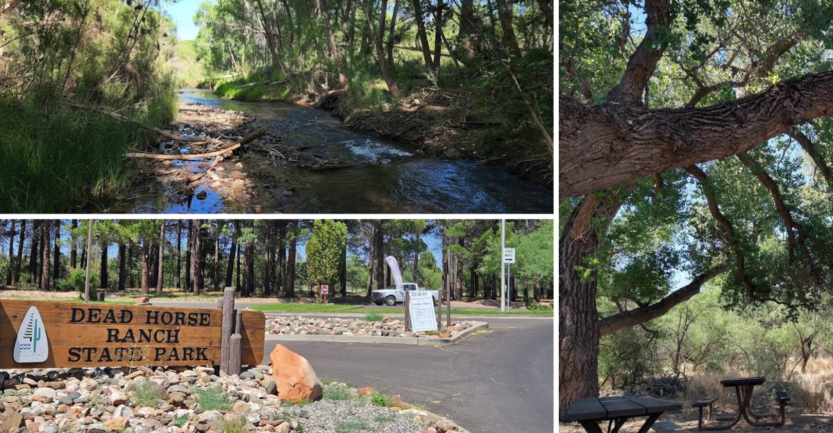 This gorgeous Arizona state park remains one of the states best hidden treasures
