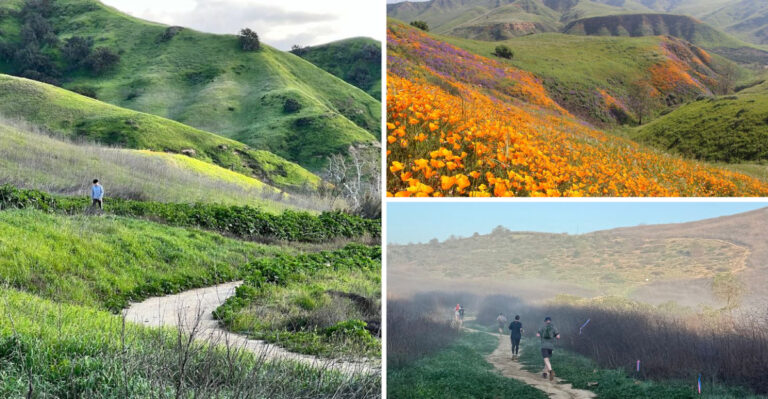This gorgeous California state park remains one of the state’s best hidden treasures