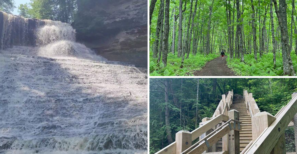 This gorgeous Michigan state park is filled with waterfall views and forest scenery