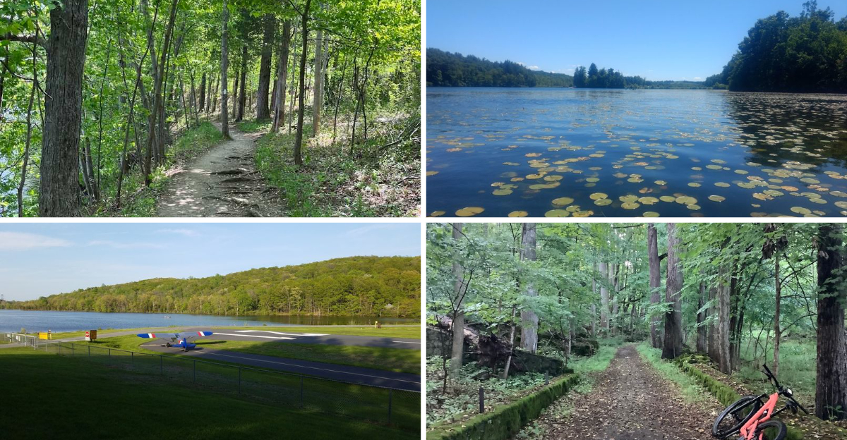 This gorgeous New Jersey state park remains one of the state’s best hidden treasures