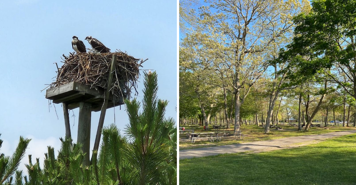 This gorgeous New York state park remains one of the states best hidden treasures 1
