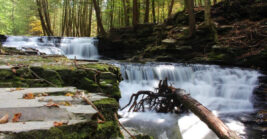 This stunning Pennsylvania State Park Looks Like It Was Pulled Straight From A Storybook