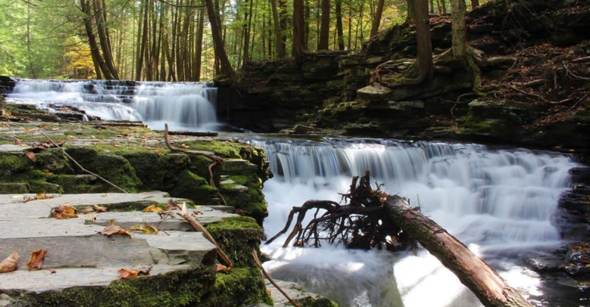 This stunning Pennsylvania State Park Looks Like It Was Pulled Straight From A Storybook
