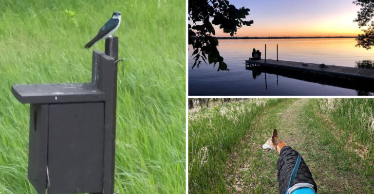 This under-the-radar State Park on the Edge of Minnesota Is the Ultimate Peaceful Escape