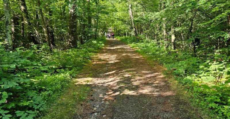 This under-the-radar Trail in Massachusetts Will Take You Straight Back to the Ice Age
