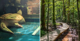 This underrated Maryland destination deserves a spot on your next day trip list