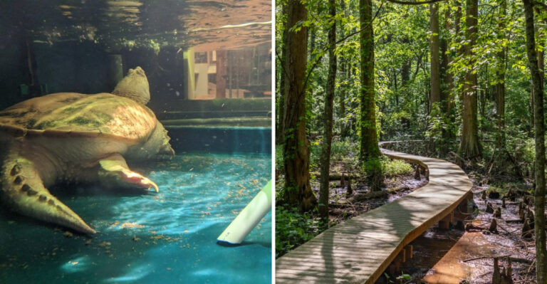 This underrated Maryland destination deserves a spot on your next day trip list