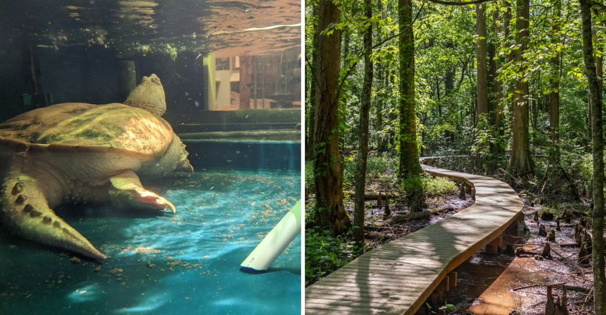 This underrated Maryland destination deserves a spot on your next day trip list