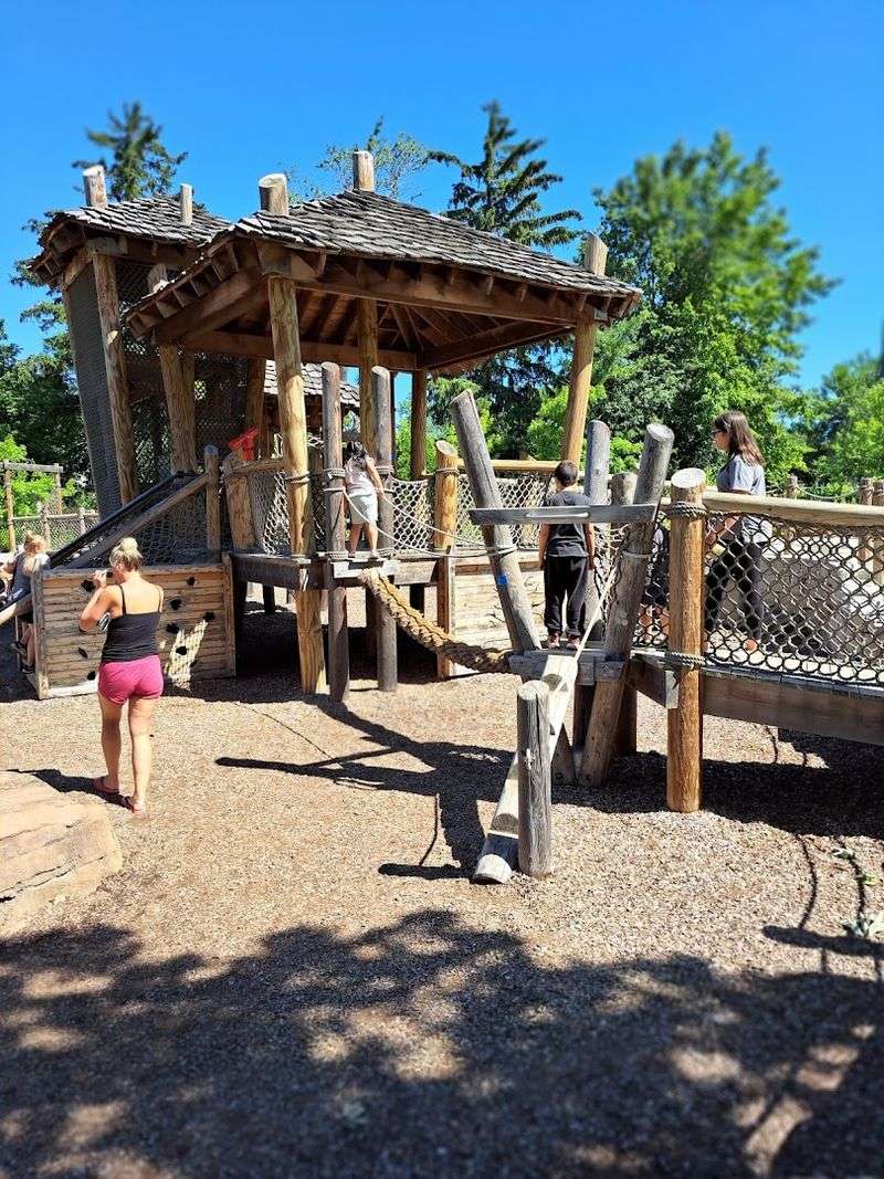 Thoughtful Fencing and Layout Designed With Safety in Mind