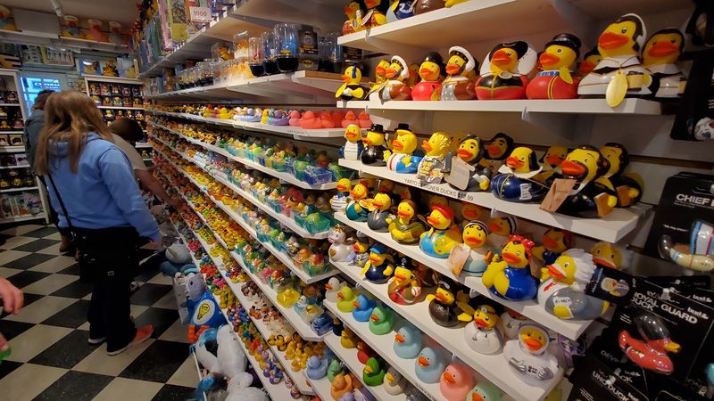 Thousands of Ducks in Every Theme You Can Imagine