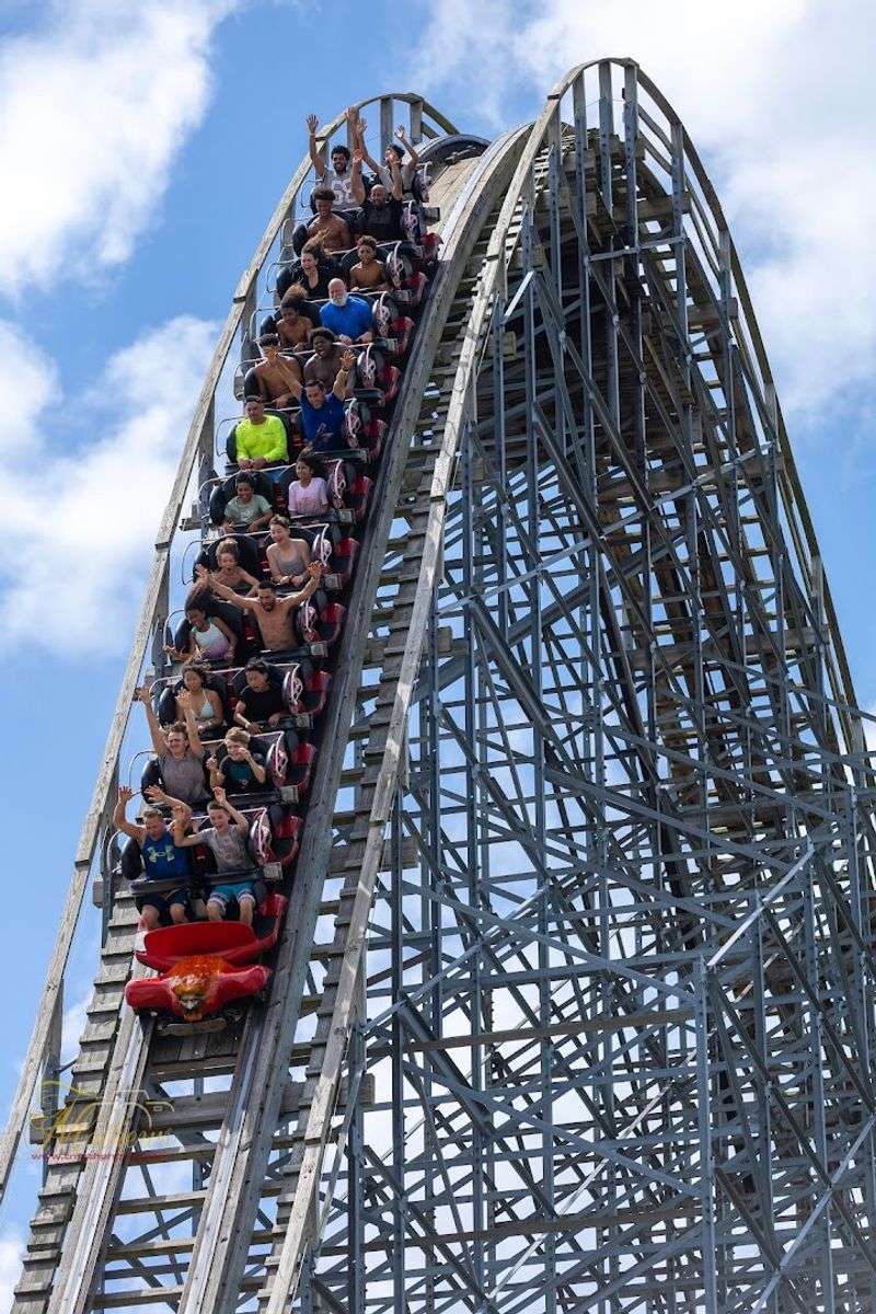Thrilling Roller Coasters for Every Daredevil Thrilling Roller Coasters for Every Daredevil