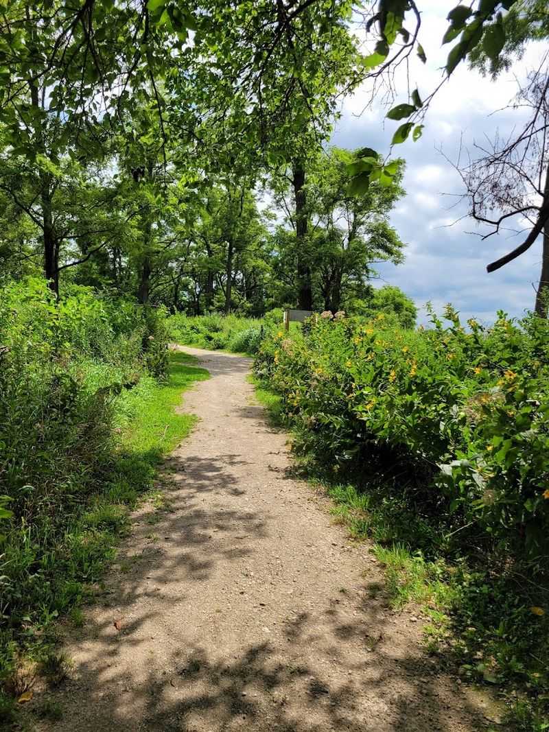 Tick Awareness and Practical Trail Safety Tips Tick Awareness and Practical Trail Safety Tips