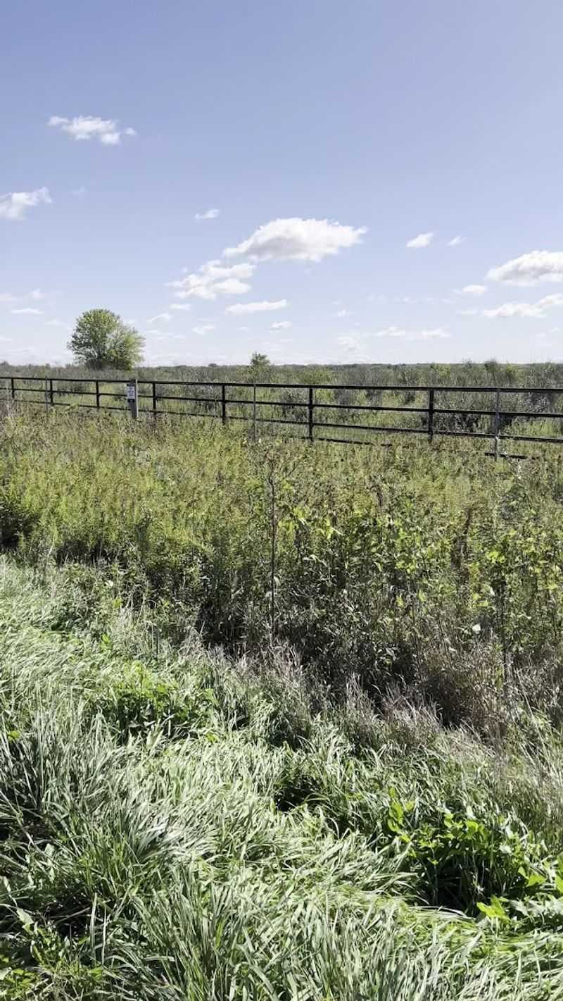 Tick Awareness and Smart Trail Safety Tips