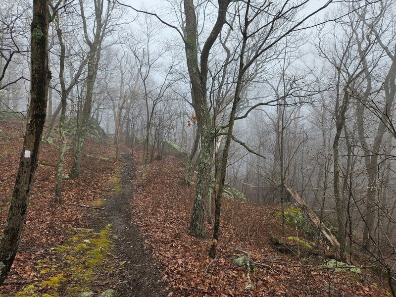 Tick Awareness and Trail Safety Tips You Need to Know Tick Awareness and Trail Safety Tips You Need to Know