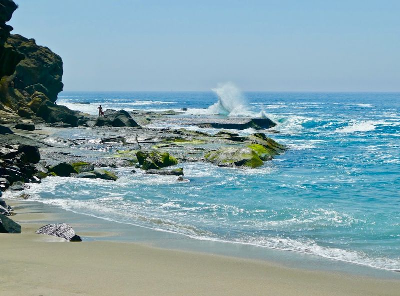 Tide Pools Bursting With Sea Life