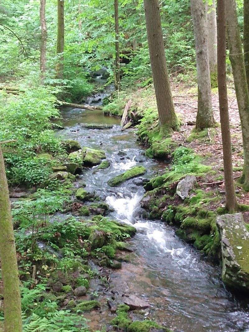 Tillman Ravine – Branchville, New Jersey