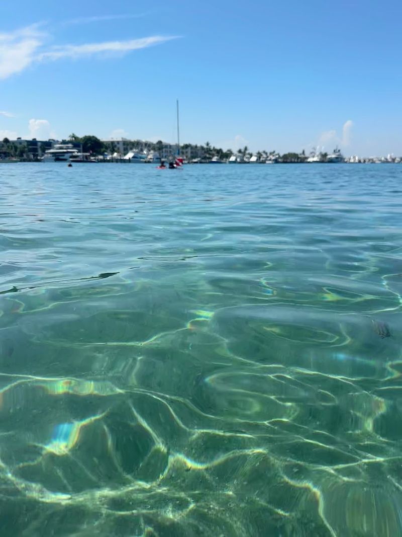 Timing Your Visit for the Best Visibility