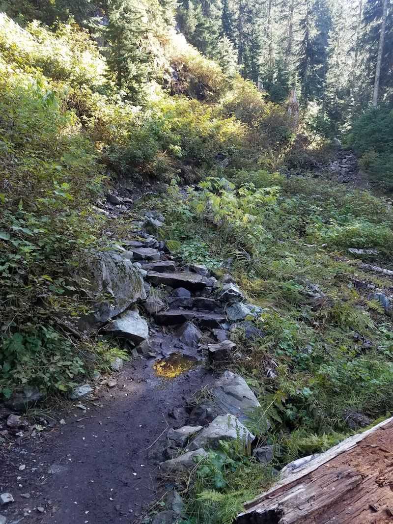 Tips for Beginners Tackling This Challenging Trail