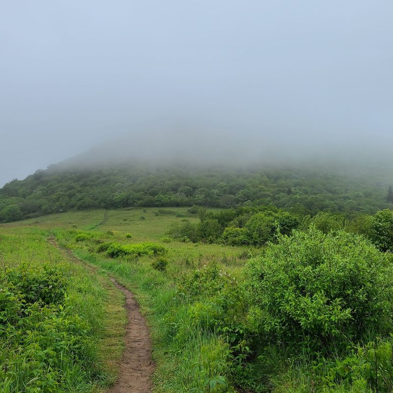 Tips for Hiking With Kids or Beginners