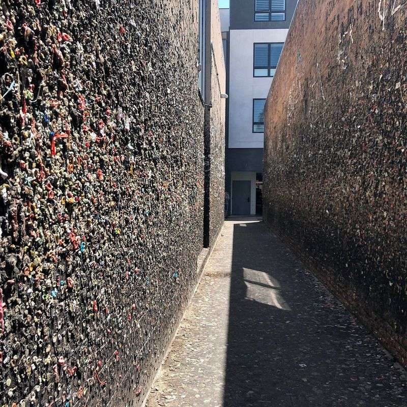Tips for Making the Most of Your Gum Alley Trip