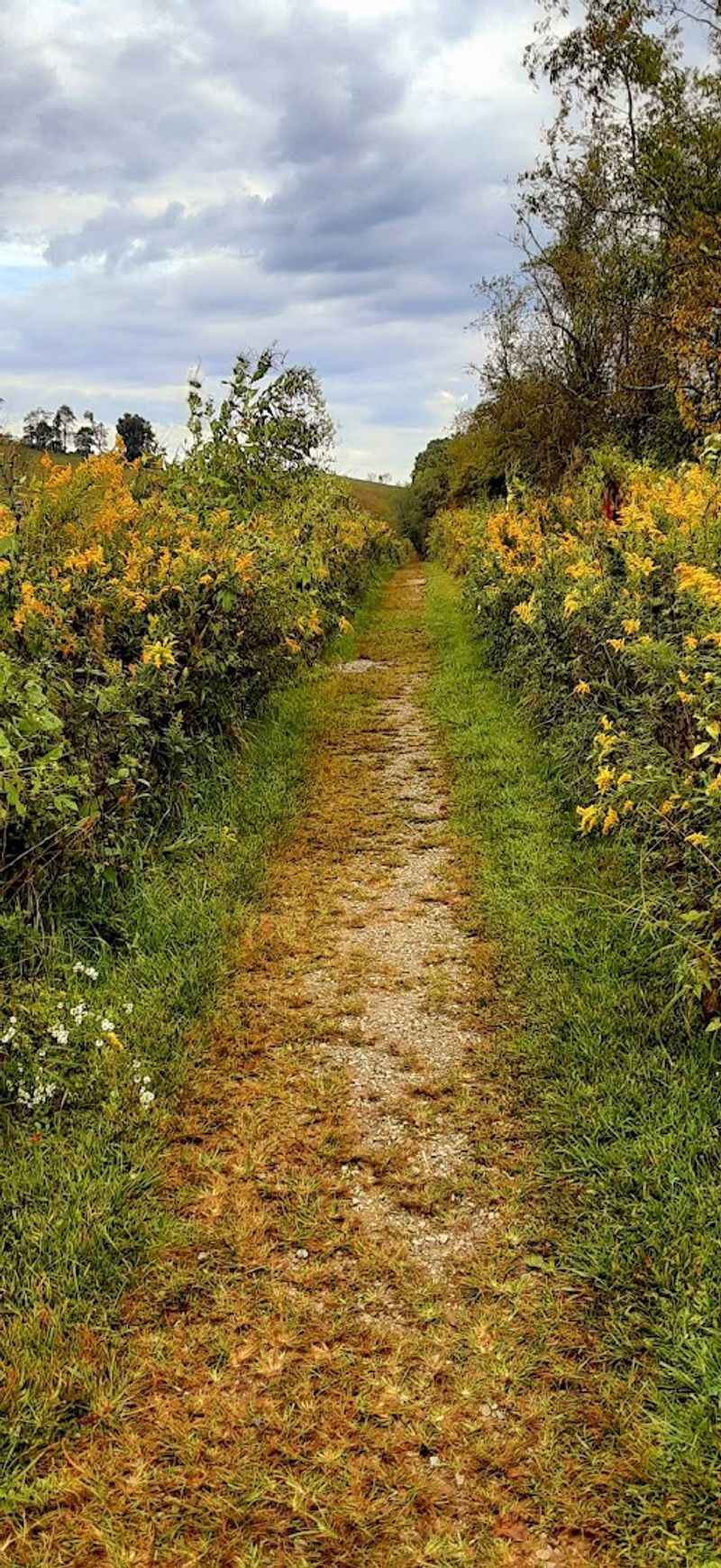 Tips for Staying Safe on the Trail