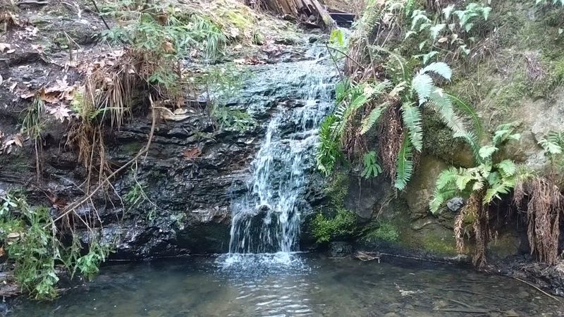 Tiptoe Falls — A Serene Waterfall Hidden in the Forest Tiptoe Falls — A Serene Waterfall Hidden in the Forest