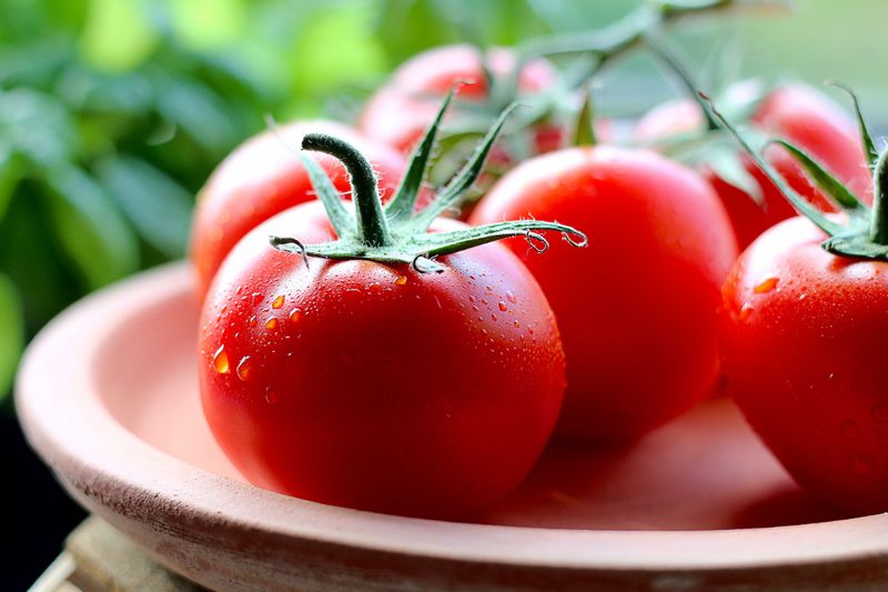 Tomatoes Tomatoes