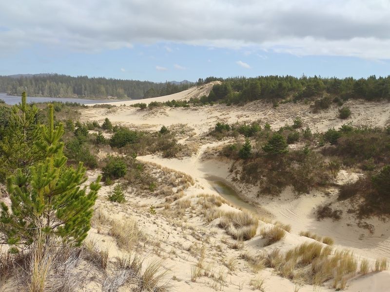 Towering Sand Dunes That Feel Like a Different Planet