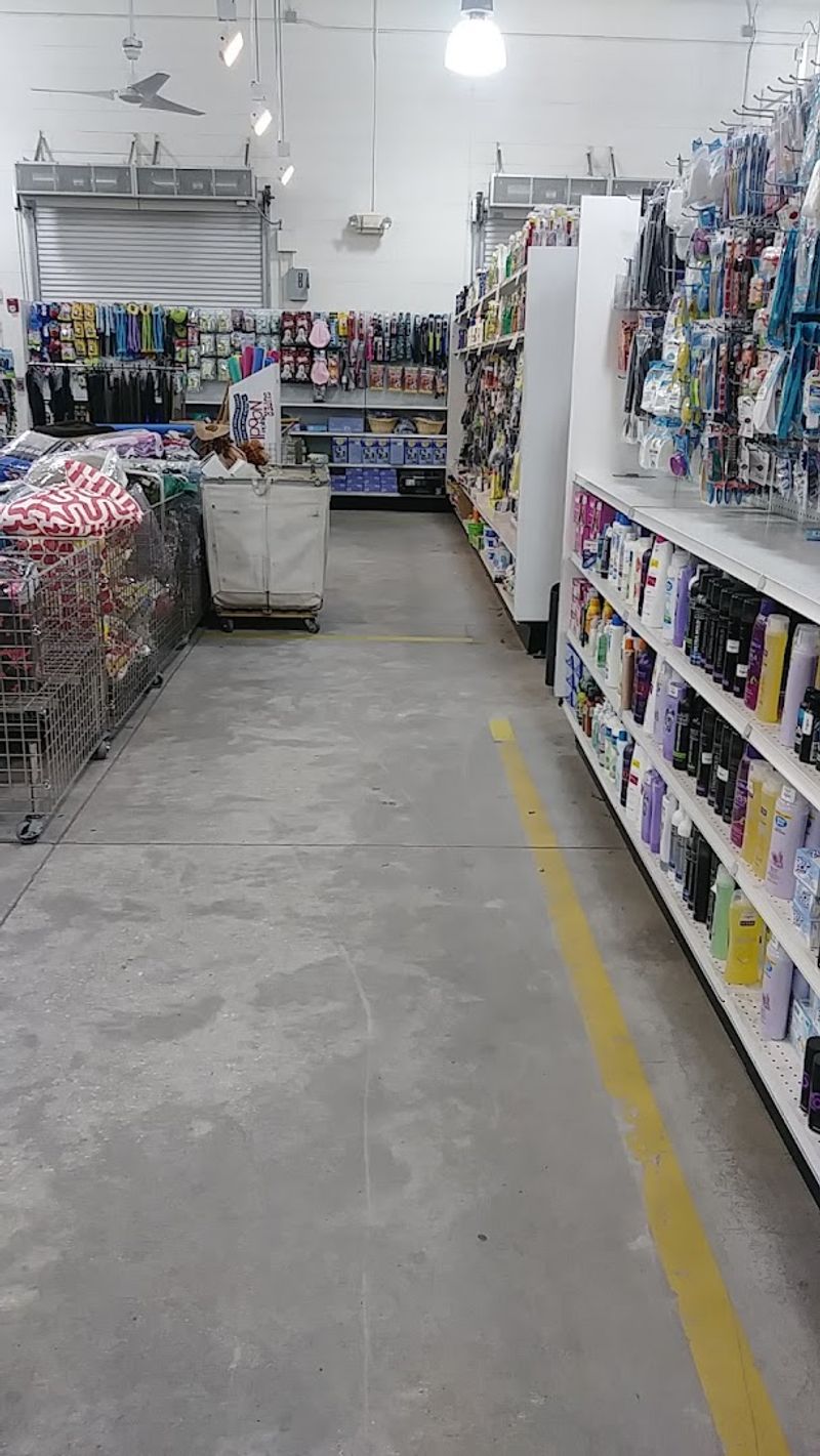 Toy and Book Section