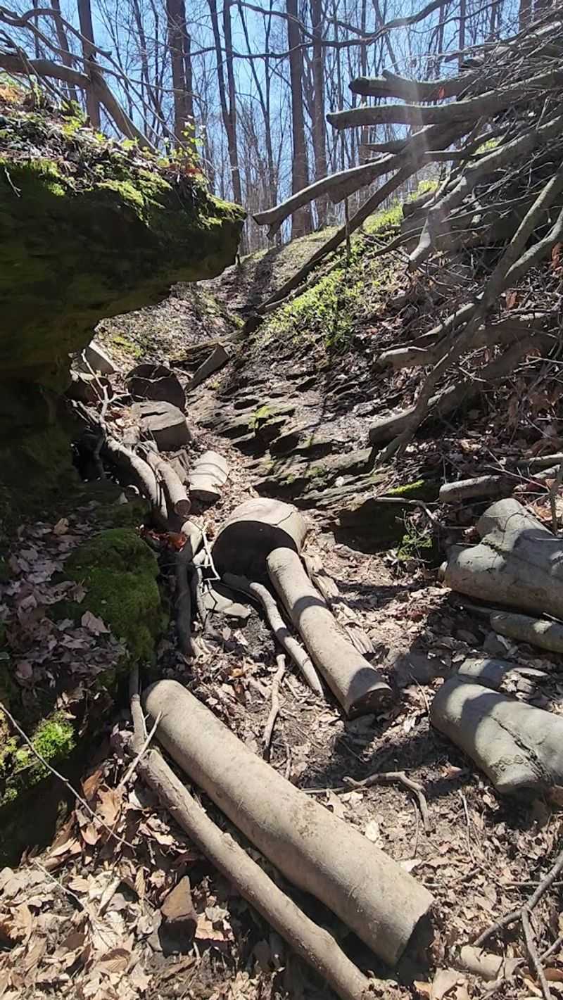 Trail 4's Ladders and Hidden Ravines Trail 4's Ladders and Hidden Ravines