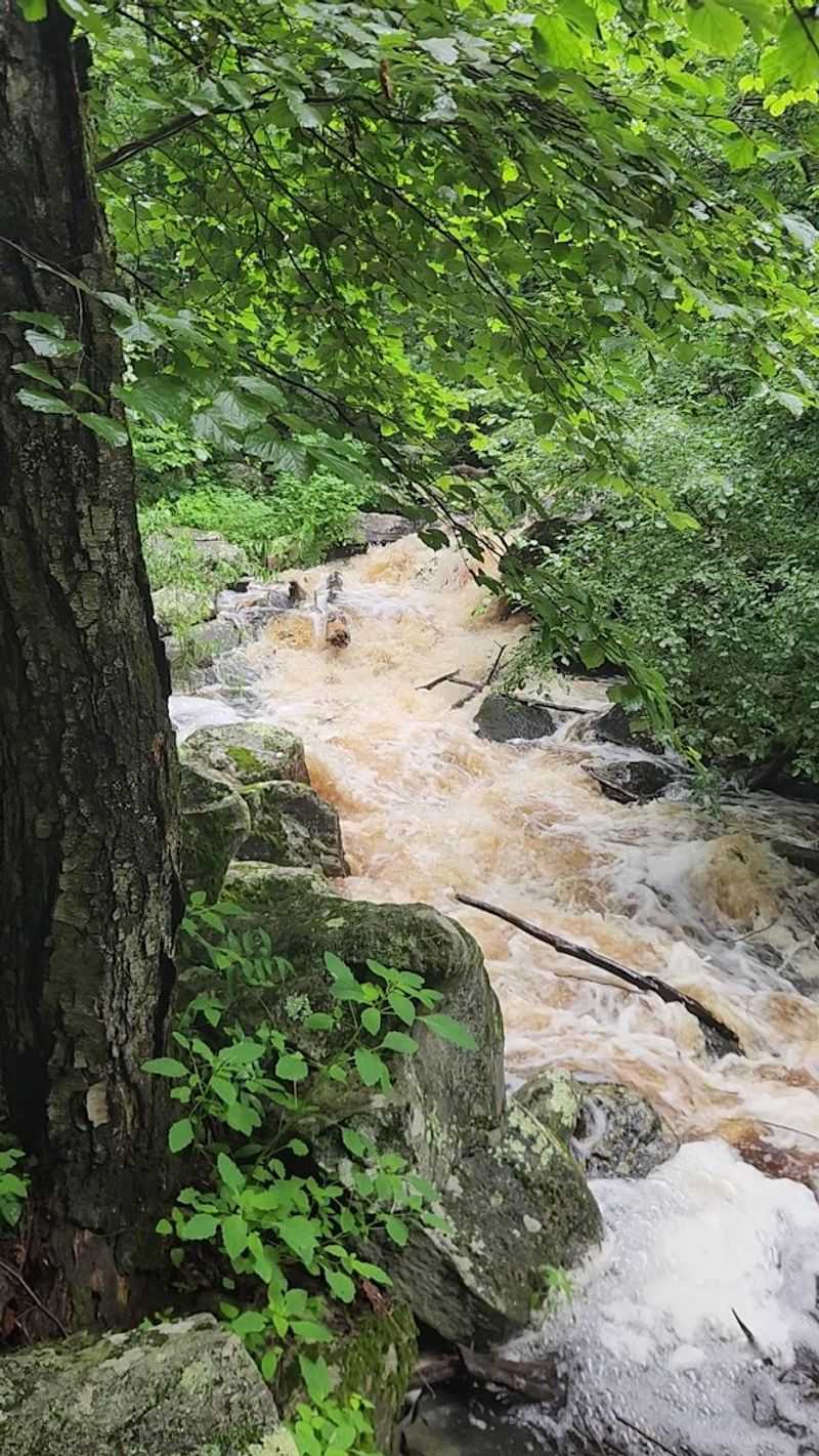 Trail Conditions After Rain and Seasonal Warnings