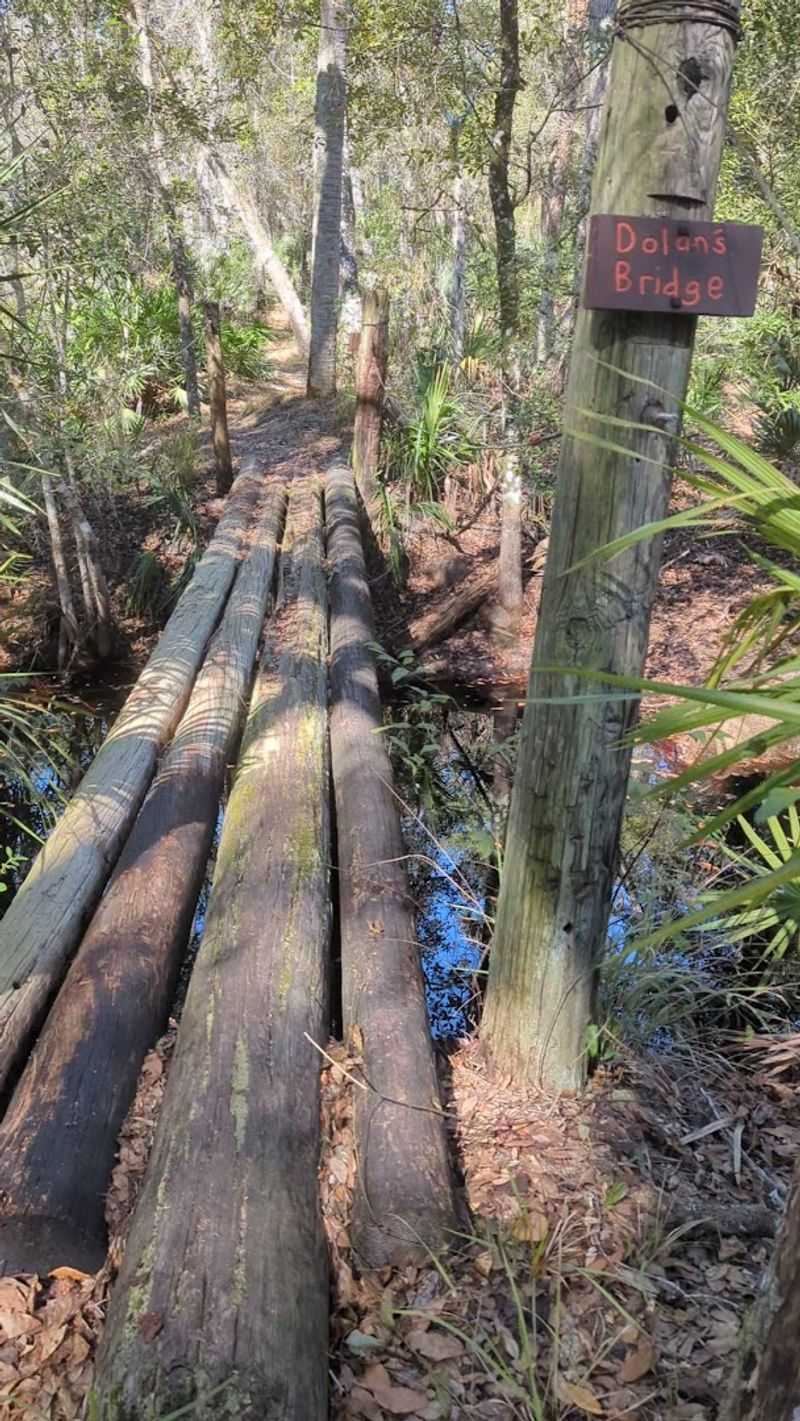 Trail Conditions and Maintenance