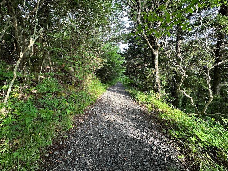 Trail Conditions and Terrain to Expect