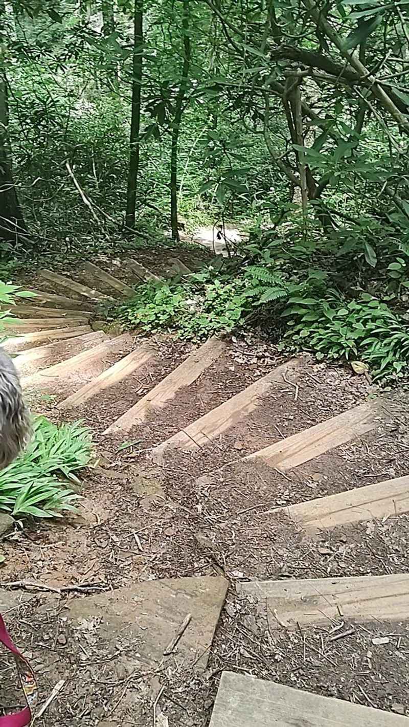 Trail Difficulty: Honest Talk About What To Expect Trail Difficulty: Honest Talk About What To Expect