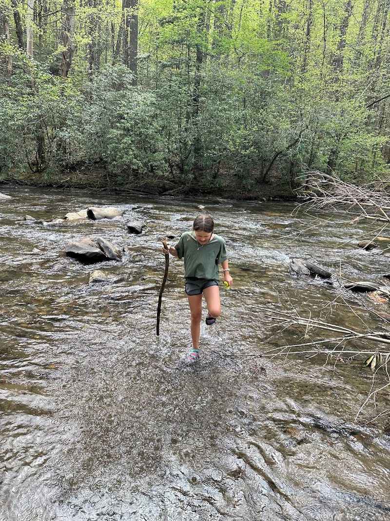 Trail Difficulty: What Level of Hiker Should Attempt This Hike